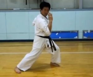 gojuryu internatinaol karatedo kobudo union yuzenkai japan