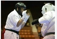 gojuryu internatinaol karatedo kobudo union yuzenkai japan 